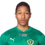 Mikael Vivar