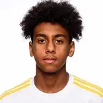 Isak Mulugeta