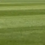 Røde kort, klare sejre og tætte dueller: Overblik over runde 4 i Ettan – Södra